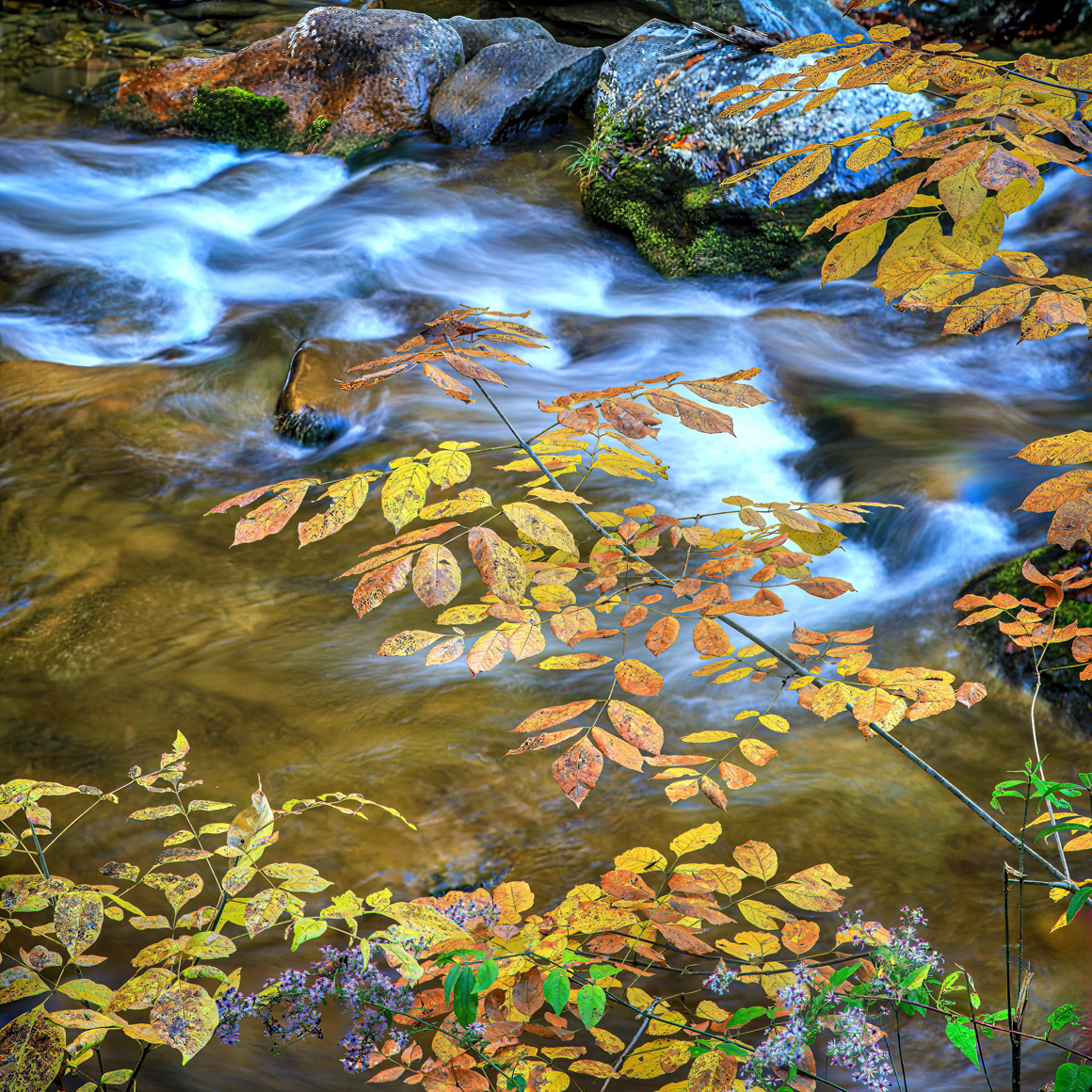 Little river in Autumn  by Dennis Sabo ©